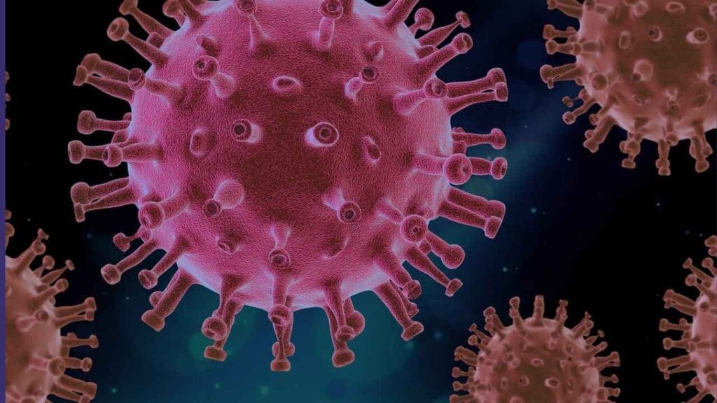 Untitled design6 (1) Untitled design6 1 human metapneumovirus
