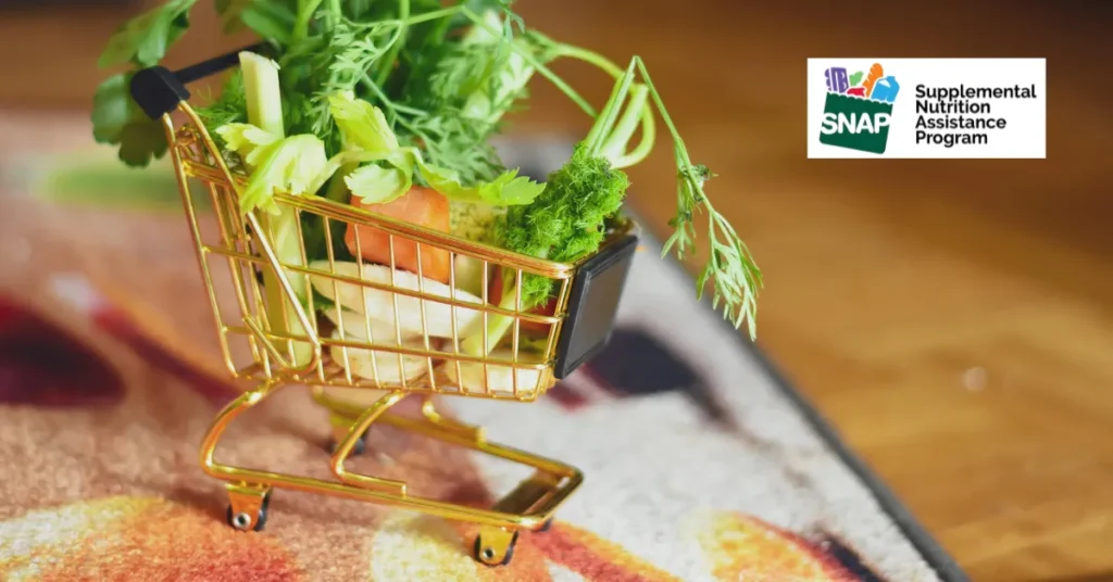 Apply for SNAP Benefits Online: Simple Steps, Quick Approval