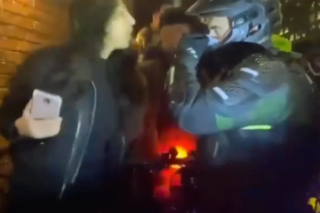 Equality Outside Indian-Origin Woman Viral Spit Video Sparks